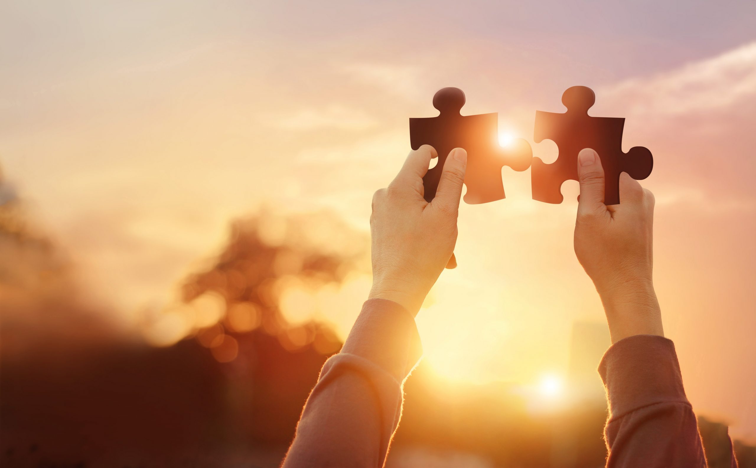 Zwischen Tradition und Moderne – Yoga als lebendige Verbindung